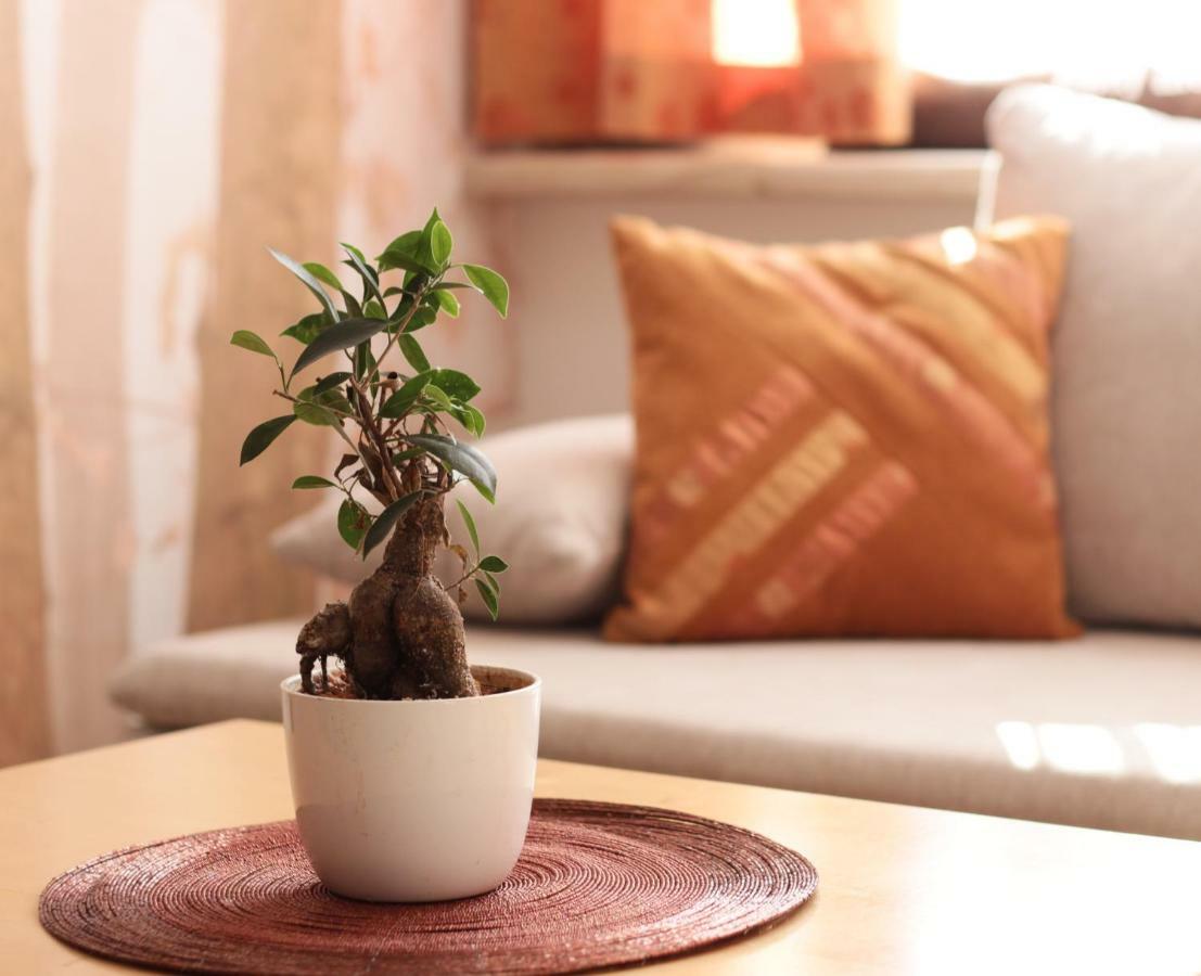 באד טצמנסדורף Baum Apartments מראה חיצוני תמונה